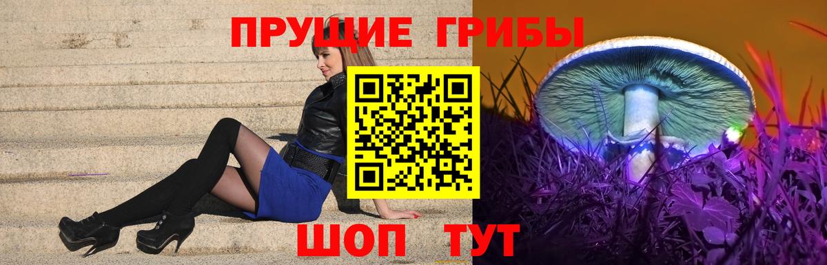 Псилоцибиновые грибы Magic Shrooms Волгоград