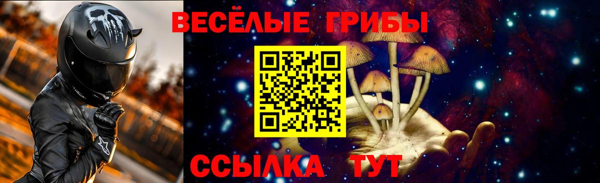 Волгоград  Псилоцибиновые грибы Psilocybine cubensis  Псилоцибиновые грибы Psilocybe  Вход с VPN 
